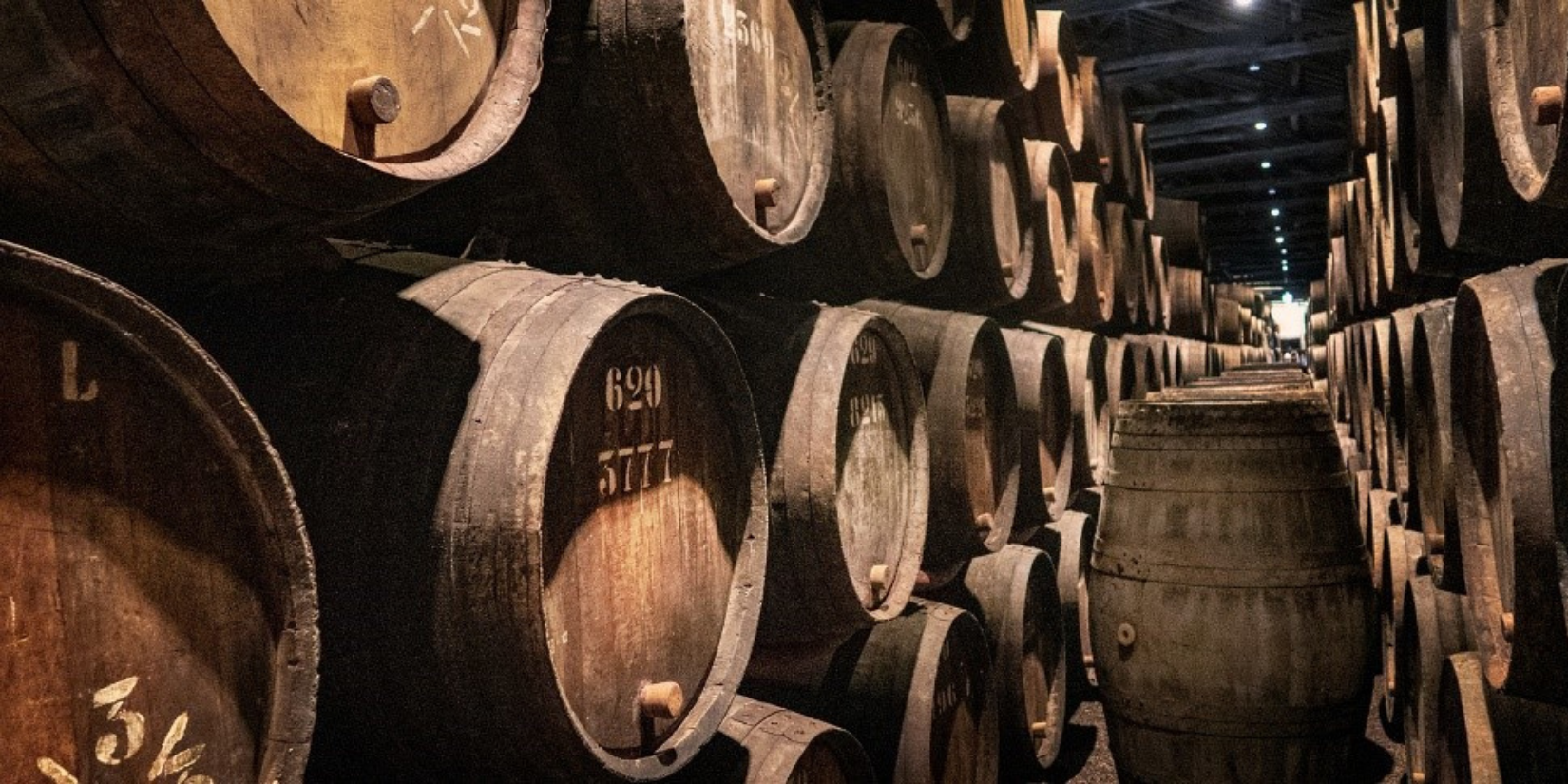 Os segredos do Vinho do Porto: o que o torna tão especial?